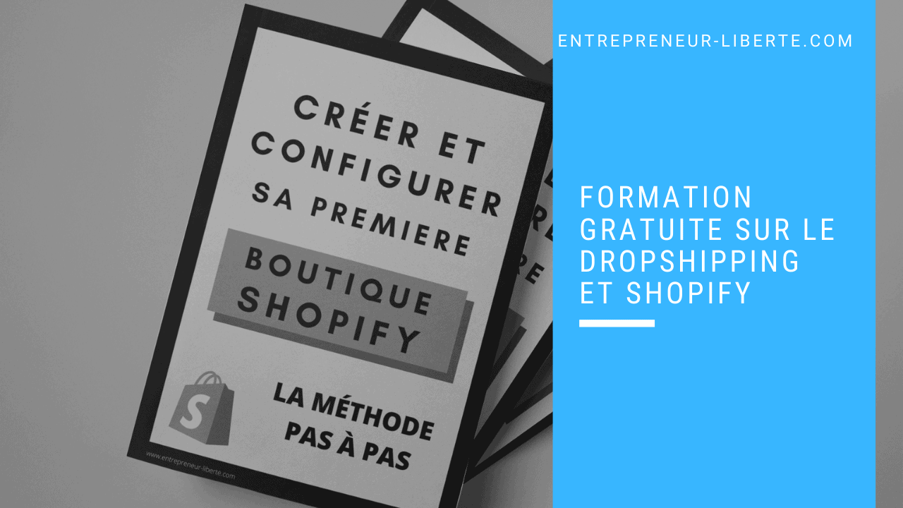 Formation gratuite sur le Dropshipping et Shopify