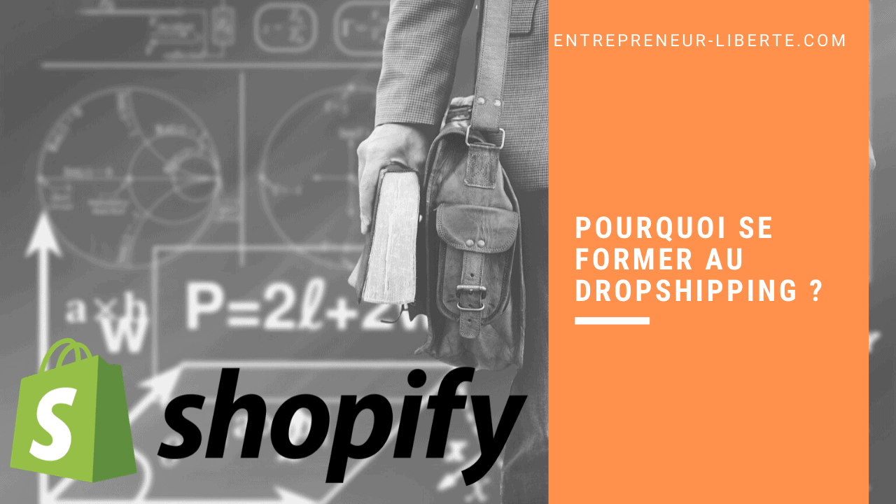 Pourquoi se former au dropshipping