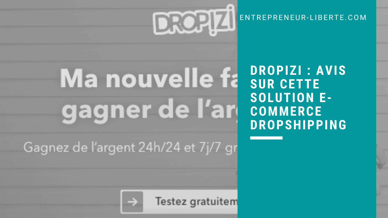 Dropizi _ avis sur cette solution e-commerce dropshipping