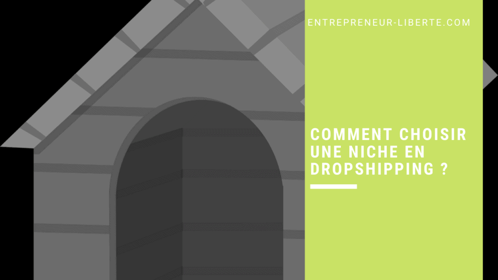 Comment choisir une niche en dropshipping