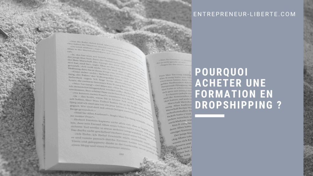 Pourquoi acheter une formation en Dropshipping