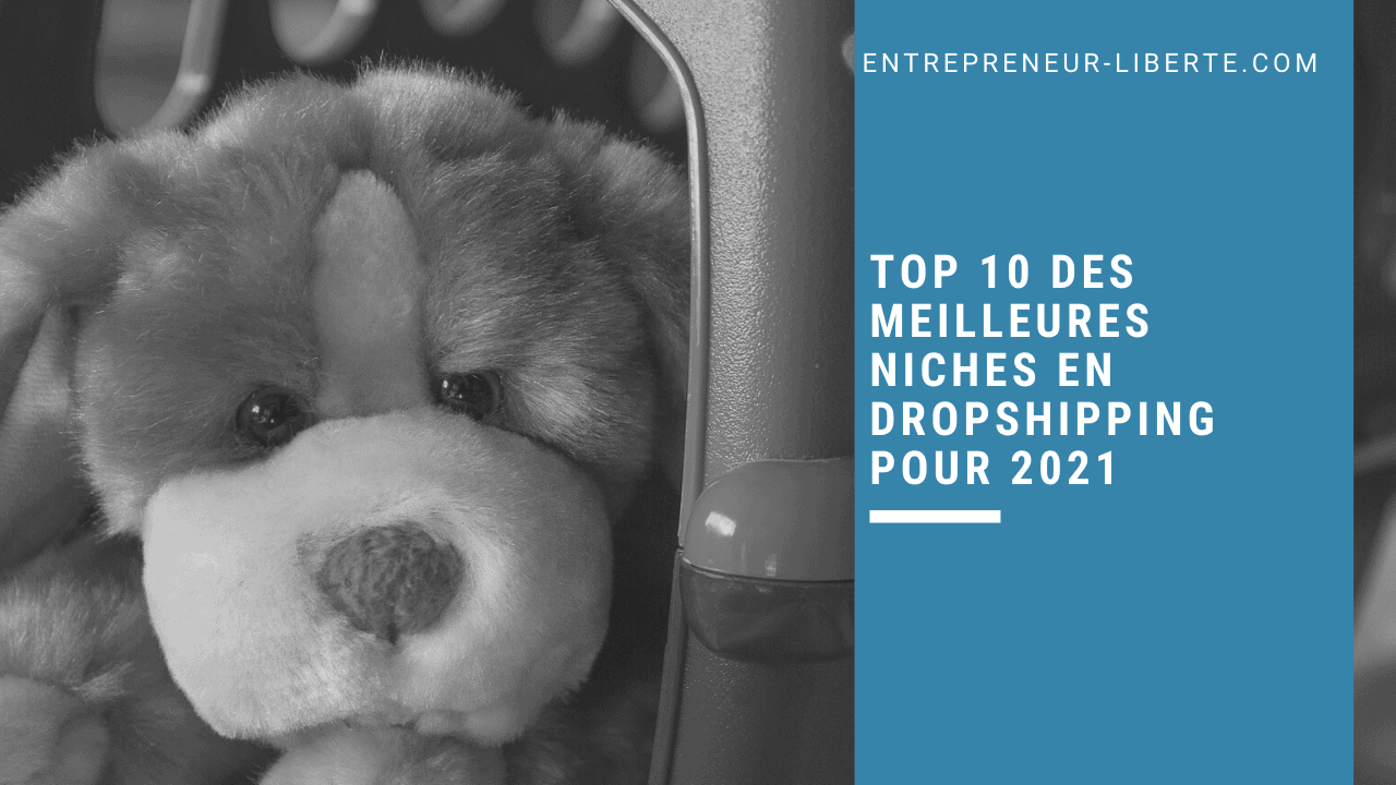 Top 10 des meilleures niches en dropshipping pour 2021