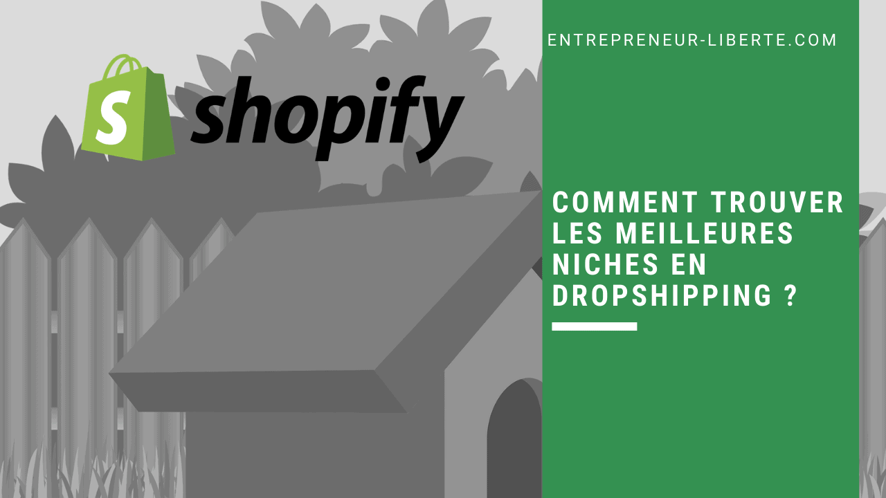 Comment trouver les meilleures niches en dropshipping